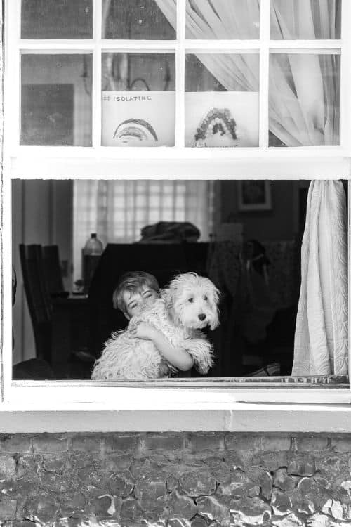 Boy and dog at the window